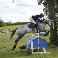 British Eventing Sapey